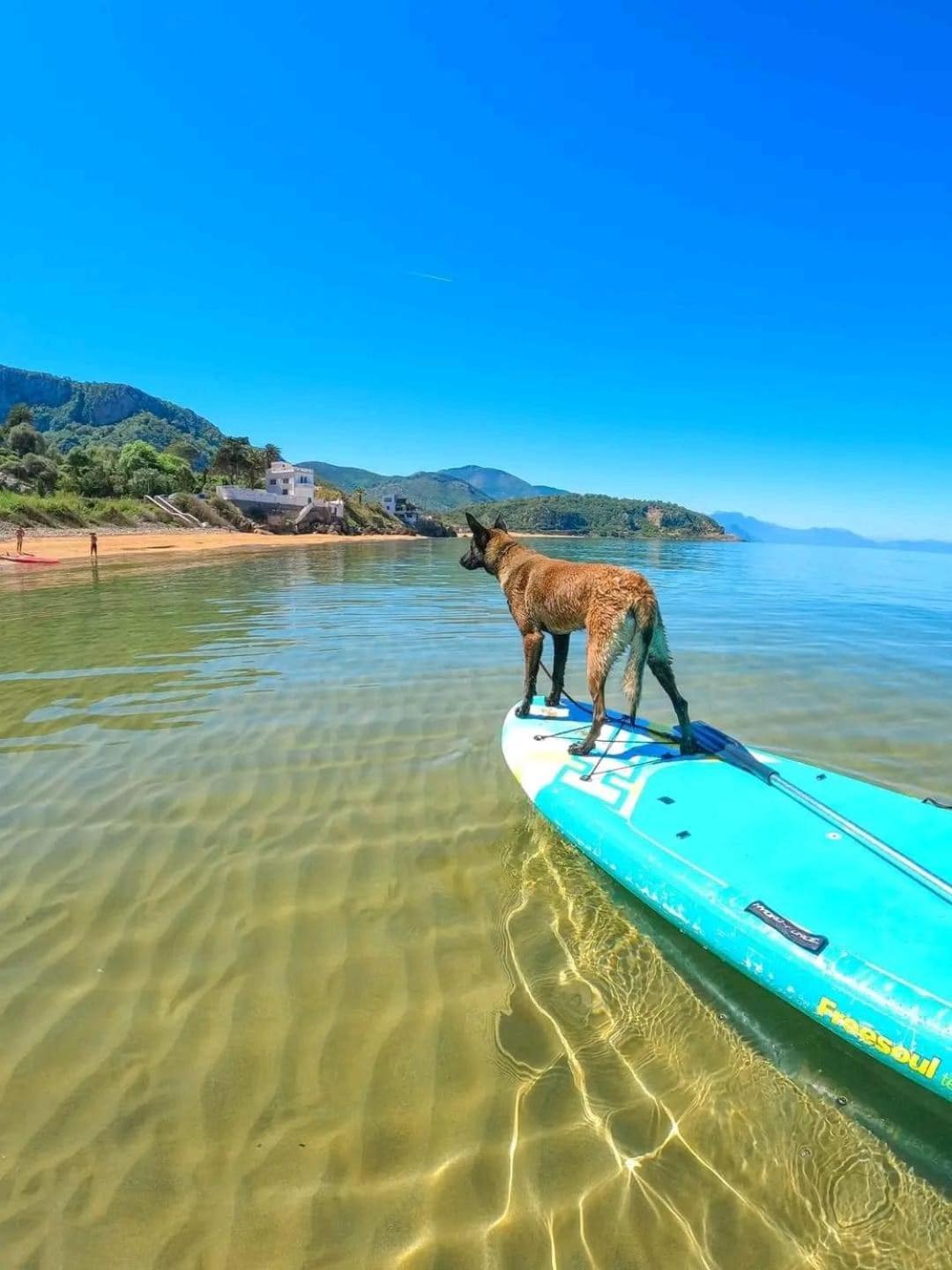 Hotel Plage D'Or Jijel Εξωτερικό φωτογραφία